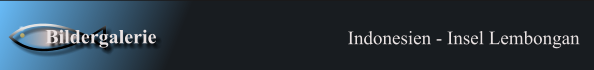 Indonesien - Insel Lembongan  Bildergalerie