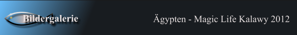 gypten - Magic Life Kalawy 2012 Bildergalerie