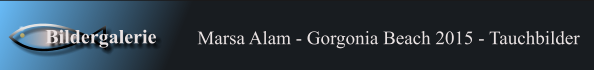 Marsa Alam - Gorgonia Beach 2015 - Tauchbilder Bildergalerie